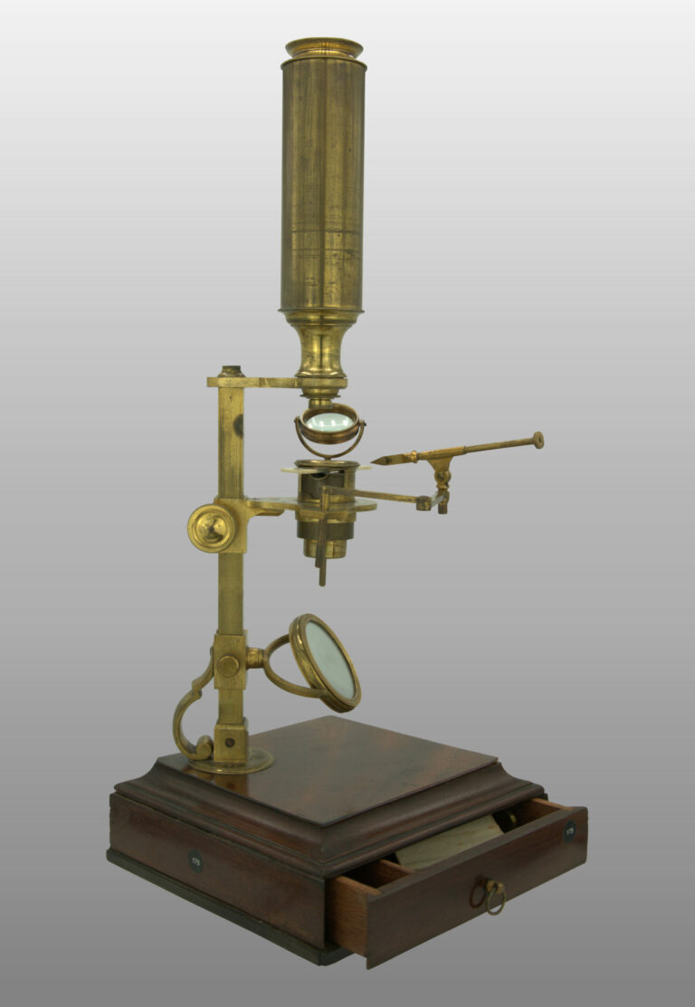 Microscope amélioré double et simple, photo de détail