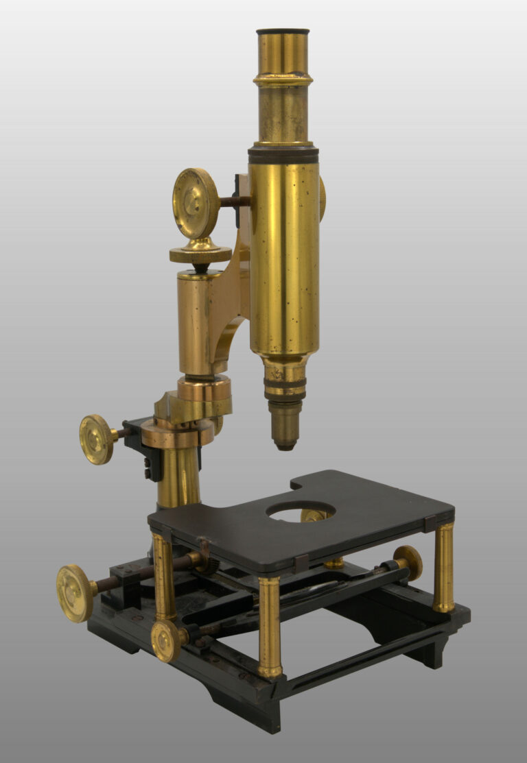 Microscope grand champ de vision, photo de détail