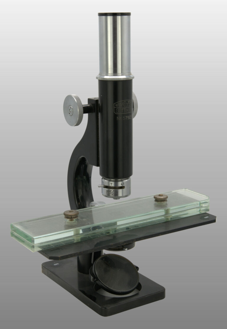 Microscope analyses pour trichine, photo de détail