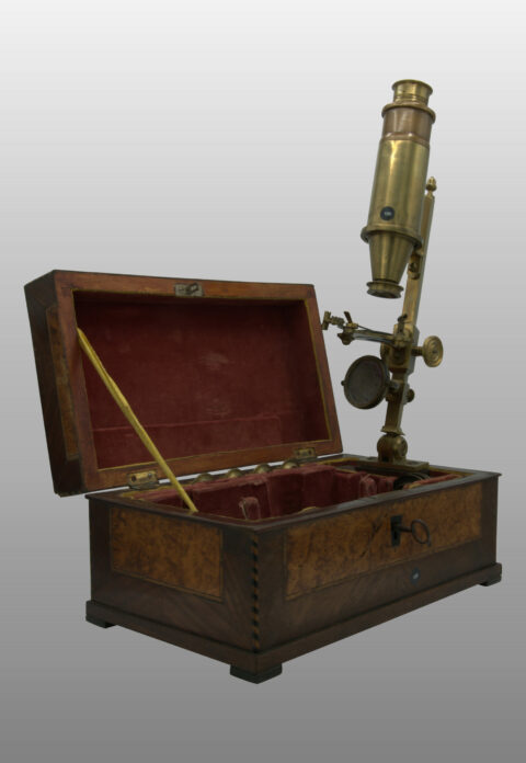 ROSE Johann, 1780