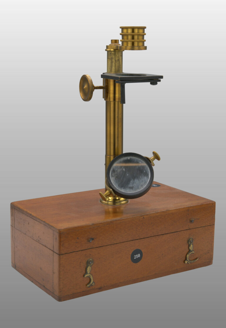 Microscope simple et composé monté sur boite, photo de détail