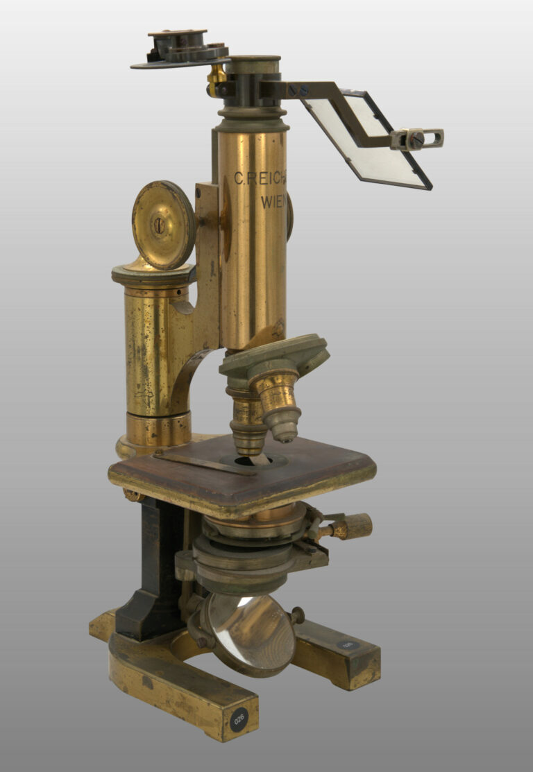 Microscope grand modèle droit inclinant IIb et 097 chambre claire, photo de détail