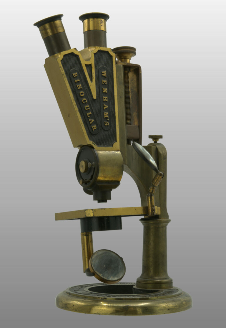 microscope pancratique, photo de détail