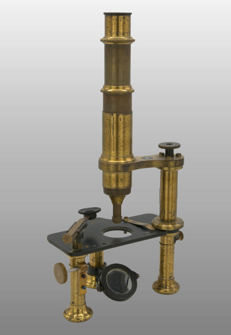 Microscope à dissection et d’observation, photo de détail