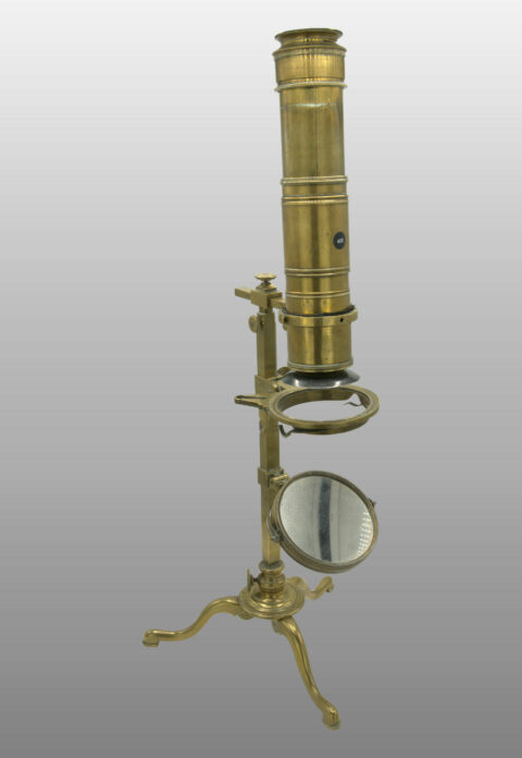 Francais sans nom, 1780