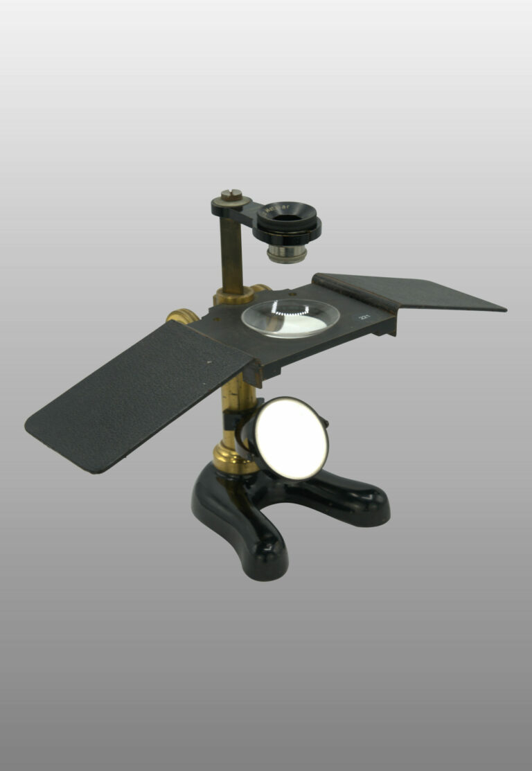 Microscope dissection n°42, photo de détail